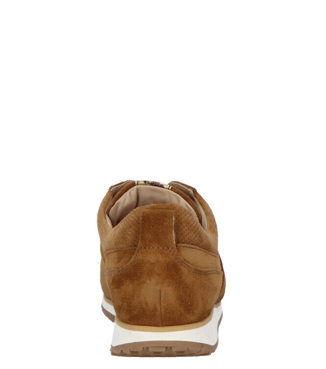 Lerora Lerora Sneaker <span>65016 4005 196</span> 196 Cognac Lerora Sneaker <span>65016 4005 196</span> 65016 4005 196 cognac - www.bremmerschoenen.live - Bremmer Schoenen