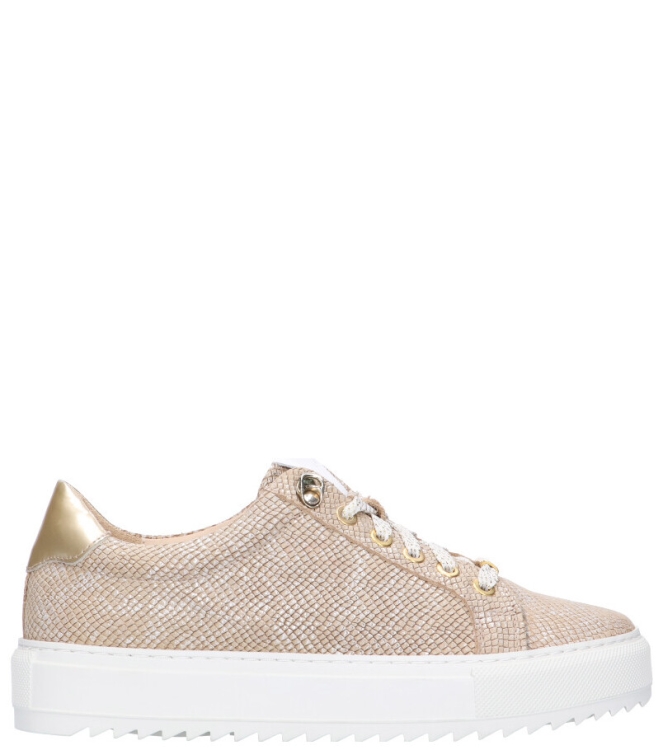 Footnotes Footnotes Sneaker <span>21.001-6337</span> 6337 Fantasy print Caramel Footnotes Sneaker <span>21.001-6337</span> 21.001-6337 beige - www.bremmerschoenen.live - Bremmer Schoenen