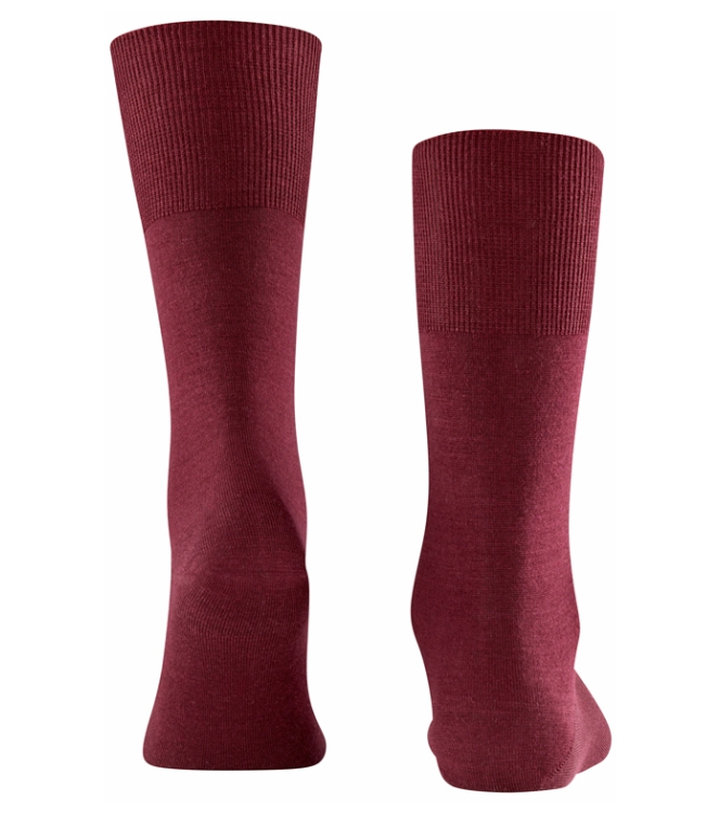 Falke Falke Airport <span>14435 8596 Airport sokken</span> Barolo Falke Airport <span>14435 8596 Airport sokken</span> 14435 8596 Airport sokken bordeaux - www.bremmerschoenen.live - Bremmer Schoenen