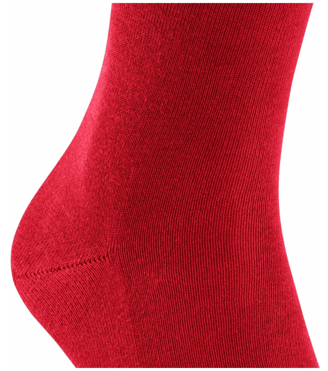 Falke Falke Family <span>14657 8228 Family sokken</span> Scarlet Falke Family <span>14657 8228 Family sokken</span> 14657 8228 Family sokken rood - www.bremmerschoenen.live - Bremmer Schoenen