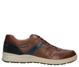 Kleur Cognac