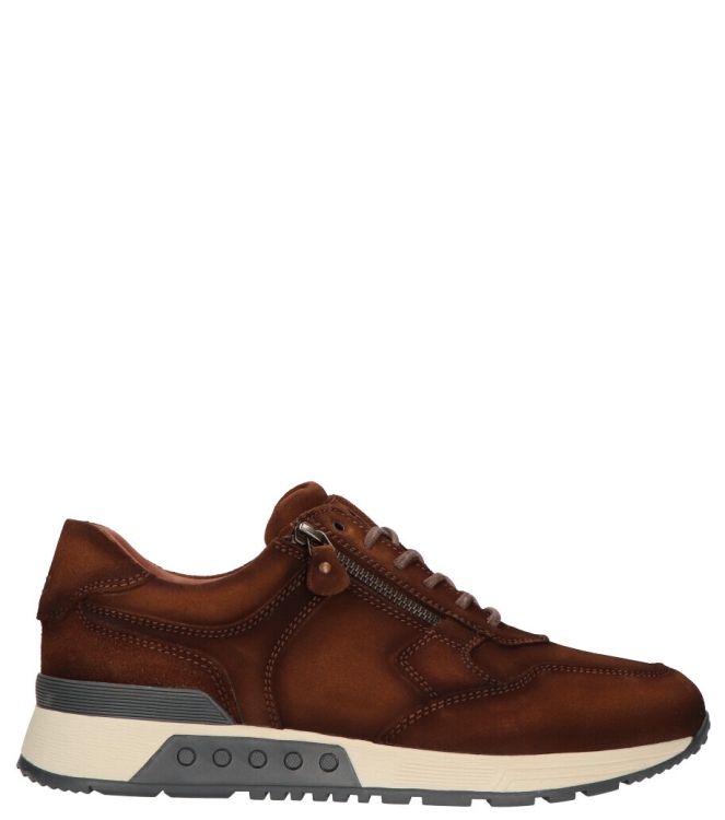 Greve Greve sneaker <span>4299.01 3032 Haarlem</span> 3032 brulee shade Greve sneaker <span>4299.01 3032 Haarlem</span> 4299.01 3032 Haarlem cognac - www.bremmerschoenen.live - Bremmer Schoenen