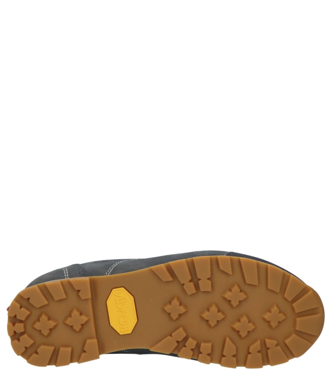 Dolomite wandelschoen laag <span>292534 0158 Low FG EVO GTX W</span> 292534 0158 Low FG EVO GTX W blauw - www.bremmerschoenen.live - Bremmer Schoenen