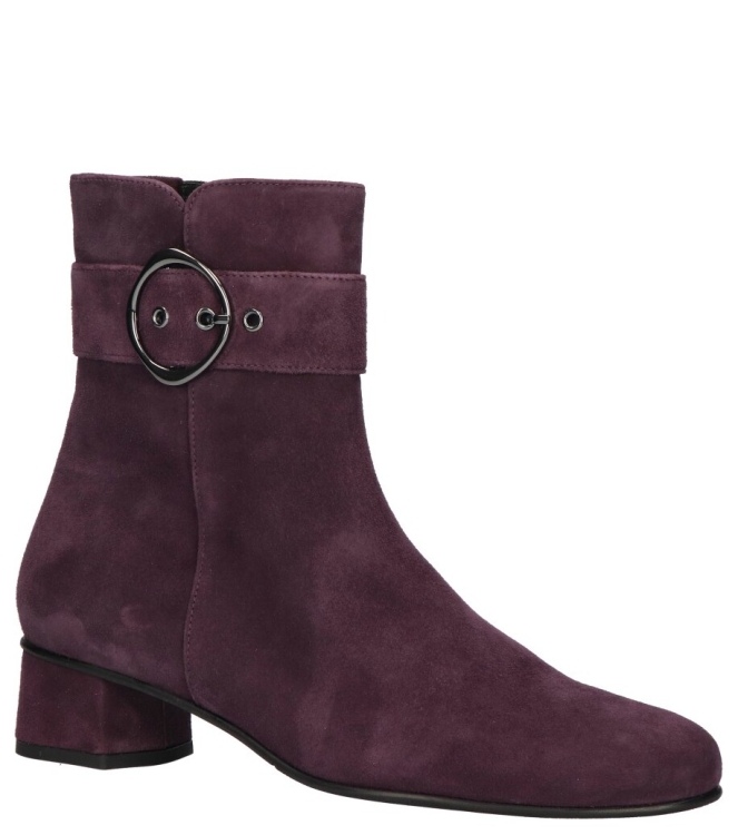 Hassia Hassia Enkellaars <span>303095 8100 Siena</span> 8100 plum Hassia Enkellaars <span>303095 8100 Siena</span> 303095 8100 Siena paars - www.bremmerschoenen.live - Bremmer Schoenen