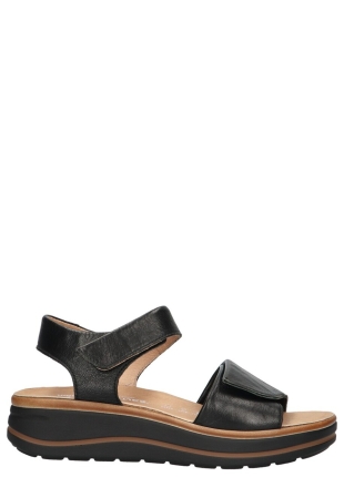 Hartjes