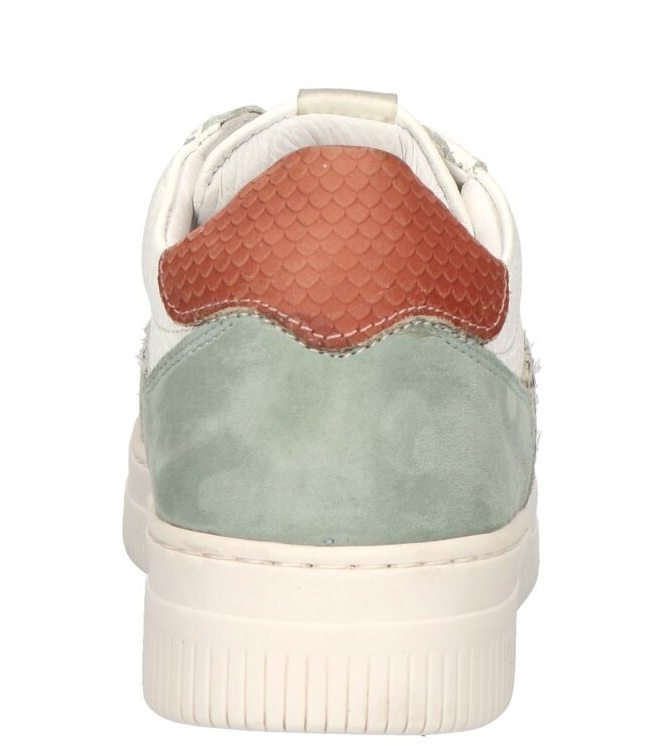 Maruti Maruti sneaker <span>66.1524.01 B7C Momo</span> B7C green white pixel Maruti sneaker <span>66.1524.01 B7C Momo</span> 66.1524.01 B7C Momo groen - www.bremmerschoenen.live - Bremmer Schoenen