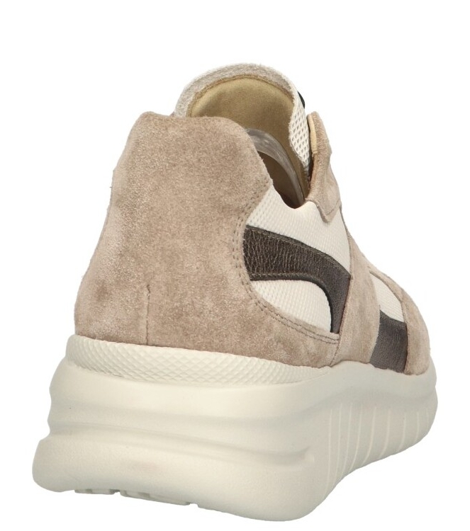 Hartjes Hartjes sneaker <span>162.2402 26/32 Wave</span> 26/32 Birke beige Hartjes sneaker <span>162.2402 26/32 Wave</span> 162.2402 26/32 Wave beige - www.bremmerschoenen.live - Bremmer Schoenen