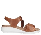 Kleur Cognac