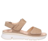 Kleur Beige