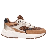Kleur Cognac