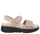 Kleur Beige