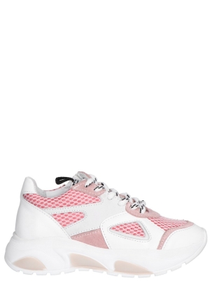 Giga G4536 A11A53 rose