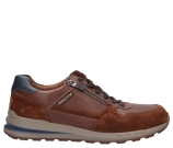 Kleur Cognac