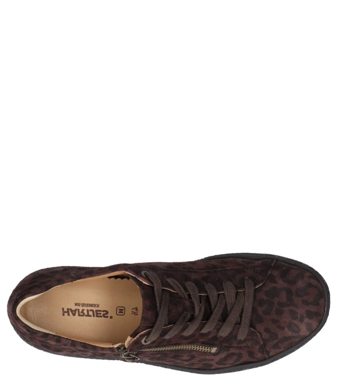 Hartjes Sneaker <span>162.1402 77/00 Phil</span> 162.1402 77/00 Phil bruin - www.bremmerschoenen.live - Bremmer Schoenen