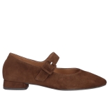 Kleur Cognac