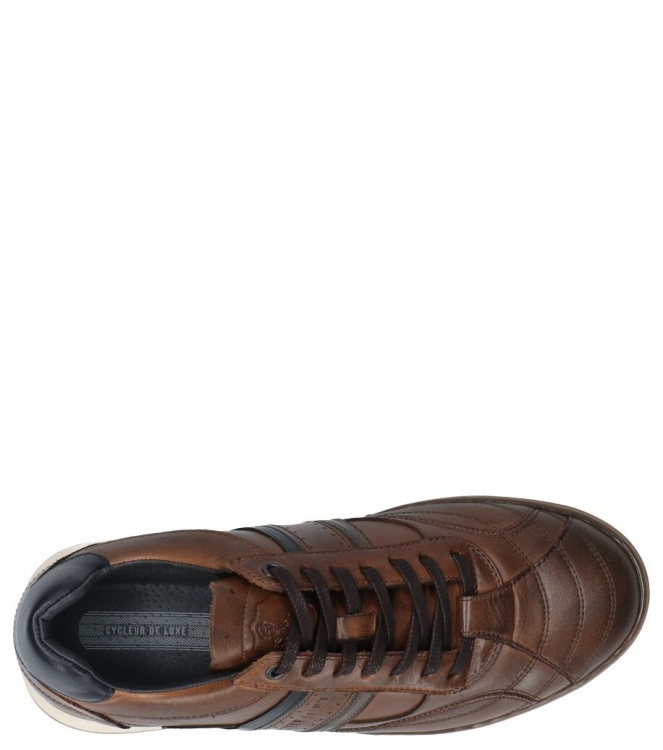 Cycleur de Luxe sneaker <span>CDLM262138 Newcrush</span> CDLM262138 Newcrush cognac - www.bremmerschoenen.live - Bremmer Schoenen