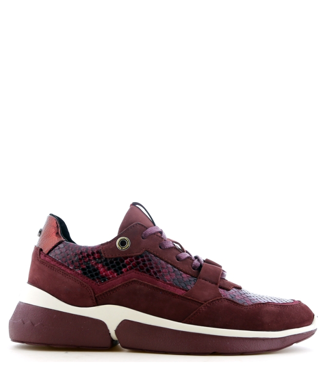 Floris van Bommel sneaker <span>85291/02</span> 85291/02 bordeaux - www.bremmerschoenen.live - Bremmer Schoenen
