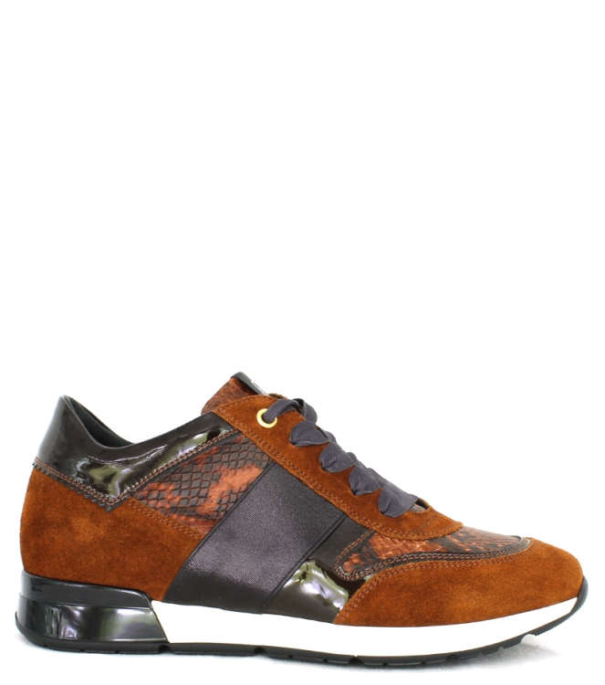 DL-Sport DL-sport sneaker <span>4439 versione 21</span> bruin combi DL-sport sneaker <span>4439 versione 21</span> 4439 versione 21 bruin - www.bremmerschoenen.live - Bremmer Schoenen